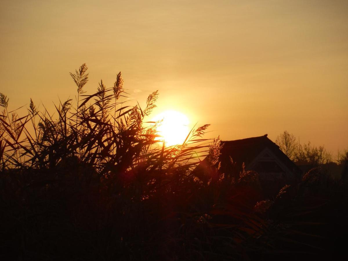 Pfahlbau Sunset I Toplage Elektroboot Inklusive Rust Bagian luar foto