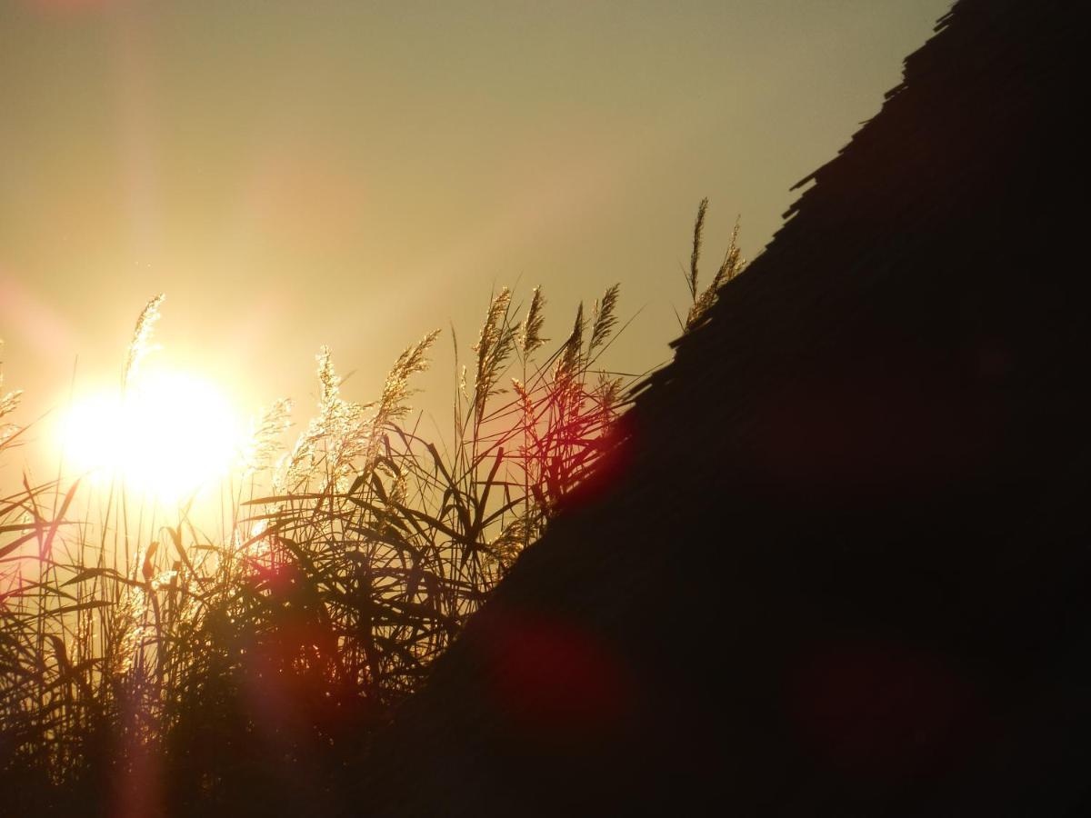 Pfahlbau Sunset I Toplage Elektroboot Inklusive Rust Bagian luar foto