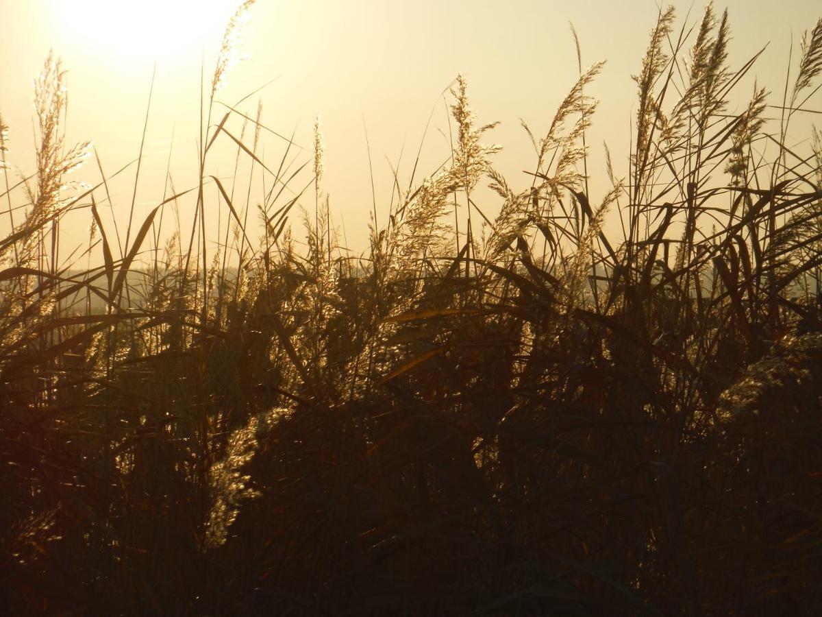 Pfahlbau Sunset I Toplage Elektroboot Inklusive Rust Bagian luar foto