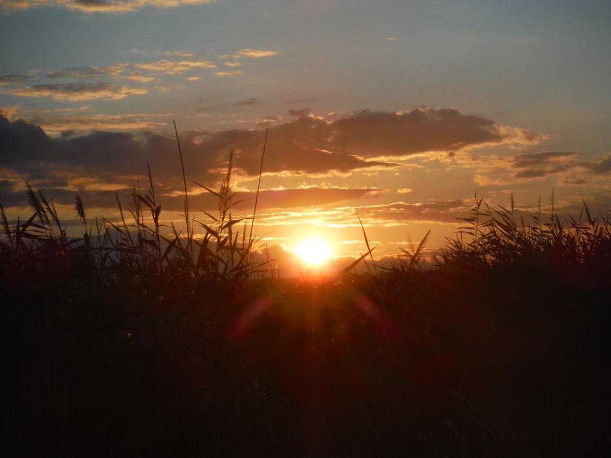 Pfahlbau Sunset I Toplage Elektroboot Inklusive Rust Bagian luar foto